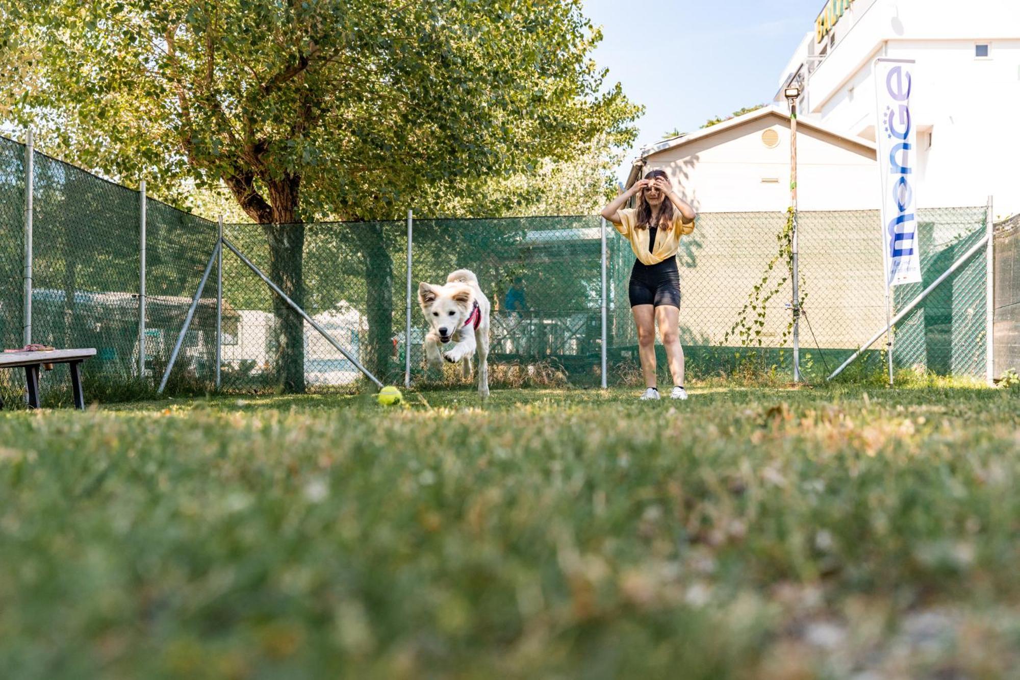 Club Del Sole Riccione Easy Camping Village Esterno foto